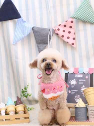 20250529マロンちゃん